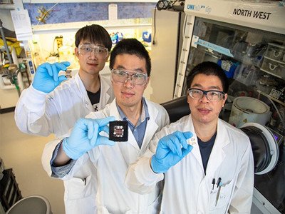 ���Y�}⁵V���늳�Ч�ʄ��¸�