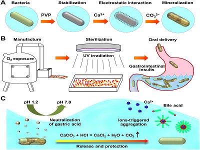 �Ϻ�����̼���}�����V����¡����_�l���Ϳڷ�������ˎ���ṩ��;����
