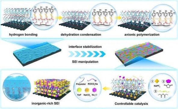 �������׬����ڈF(tu��n)�(du��)���c�x��늳��I(l��ng)��ȡ����Ҫ�M(j��n)չ