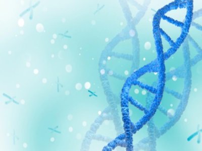 ����ˎ�IYKYY017�F�����넩�@FDA�R��ԇ����ʣ������аl����ȫ�²���