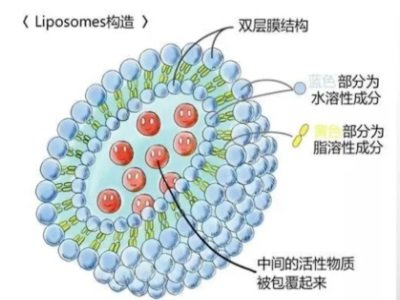 ֬�|�w���P�I�|�������о�