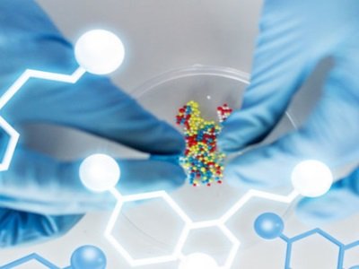 ����tˎ�c�ИI����١�񲩽��ڼ���F��_�ɺ�������ȫ�������aƷ�ܾ����M�̺ͺ����̘I��Ч��