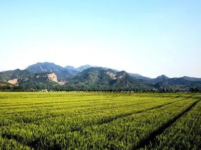 �����Ҏ�������V�a�YԴ�a�I���c�lչ�^��