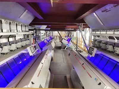 ʯӢ�a�I�܈󣺄P��ʯӢ���x���Ҽ���С���ˡ���I�����ȶ���ʯӢ�Ŀ���OͶ�a