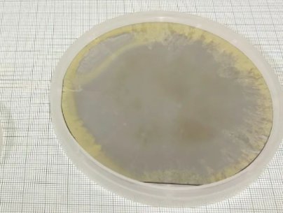 Crystal IS�������a(ch��n)�׿�4Ӣ�絪���X�r�ף��M����I(l��ng)��(y��ng)������