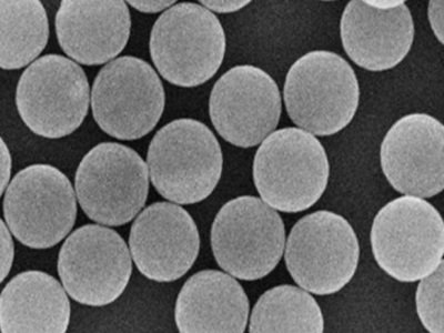 �G�~��ˎ������ͪ�������Ј���ʽ�M���̘I���\�I