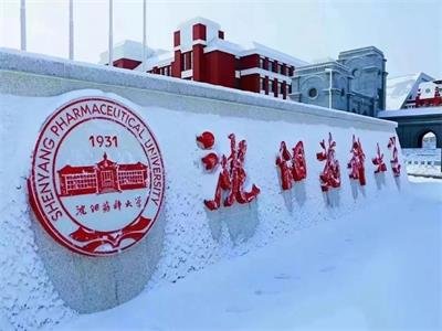 ���ˎ�ƴ�W(xu��)���Ը�У�����x���t(y��)ˎ�ИI(y��)��(chu��ng)�°l(f��)չ