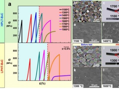 �������Mչ�������xԺʿ�F꠰l�������մ����Ե��²���