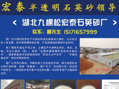 �����ſ��ɺ�̩ʯӢɰ�S�c����s�|����2023ȫ�������·������ø߼�ʯӢ���Ϯa(ch��n)�I(y��)�l(f��)չ���