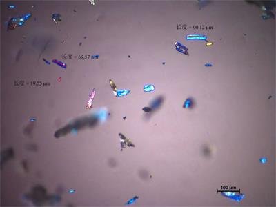 ˎ���_�l������M�����������ȿ����������Ƅ�ԭ��ˎ������Ҫ��