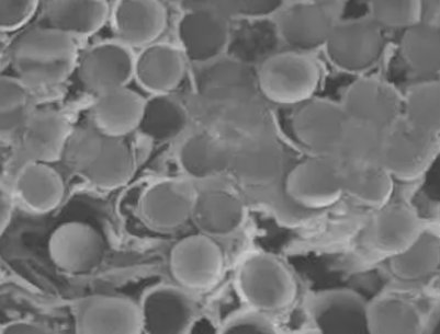 δ��֮�ǡ���̼�w�S����(qi��ng)̼�����մɏ�(f��)�ϲ���