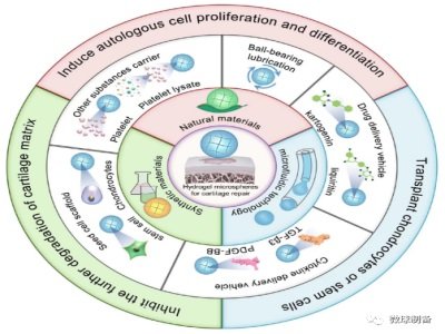 ˮ���z΢����Ƃ估��(y��u)��