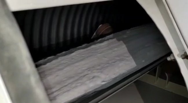 ̼��䇡��������ݡ� ���N���_ʼ�r�X�u؛