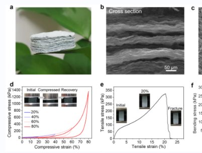 �����������մɚ����z�о�����ȡ�����Mչ