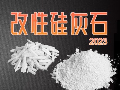 ���Թ��ʯ���ü��о��Mչ