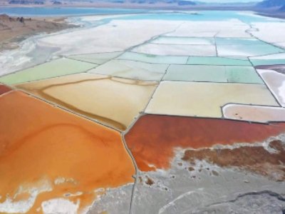 ���صV�I��ʾ2025���o䇾��V�����L�U !��˾��ʿ��ʾ������䇾��V�N���~Ӱ푲���