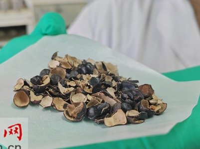 ���ĵ���������c늳�ؓ�O���ϼ��g�аl�ɹ���