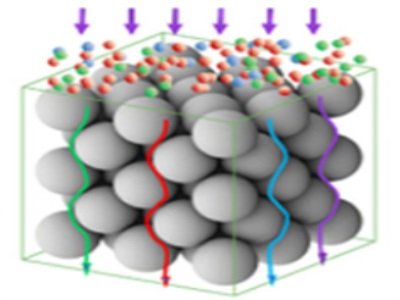 ΢���t(y��)�W�������ƌW�I�������С����