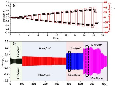 �R���m��WEES���c����ꖘO�̑B늳������Mչ��