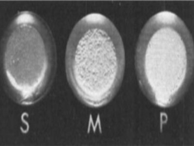 һ�Ď��������˽�Ӱ�Ƭ�������ܳ��ĝ������ء�����������Ӱ�