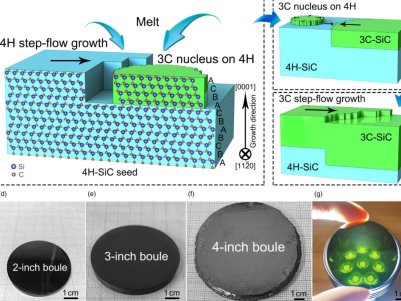 �С���F(tu��n)�(du��)�����A��(j��)����̼����ξ����L(zh��ng)ȡ��ͻ�����M(j��n)չ