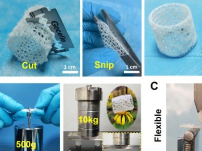 �Ϻ������}�������������մ��о���ȡ���Mչ