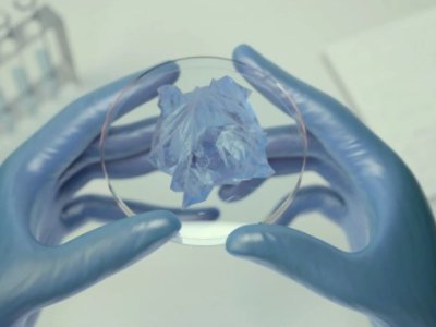 SiC��S��I����3����15�|��