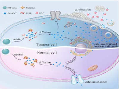 ̼���}��������