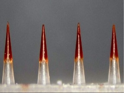 ��̱��������ׂ�ˎ��΢��N���@���R��