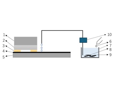 ����ʯ����ġ�������