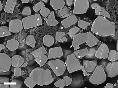 ��һ��ȫ�̑B늳����O���ϵ����x���������᣿