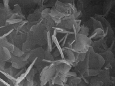 ���m�϶��S�{�ײ��ϵ��Ƃ䷽�������൪������I���x��