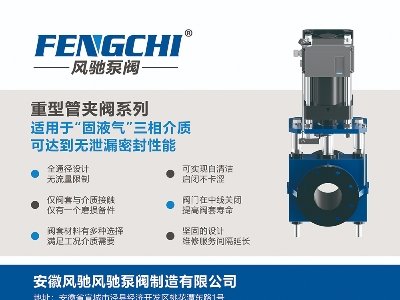 �L�Y�y�T�c����s�}�ǣ�2024���ڶ��ã�ȫ�������·������ø߼�ʯӢ���Ϯa�I�lչ���