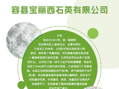 ������ʯӢ�c����s�}�ǣ�2024���ڶ��ã�ȫ�������·������ø߼�ʯӢ���Ϯa�I�lչ���