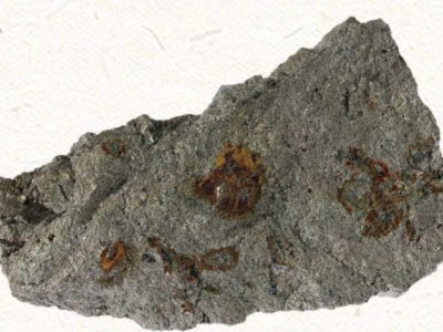 ��䆡������@�N�����ԵV�a�ɲ����ރH1�꣬��������90%