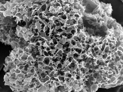 ���̼���ϣ��Ƃ似�g(sh��)����(y��ng)��ǰ���cδ��(l��i)չ��