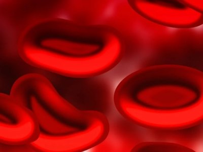 �팣���ü{�ײ����Ƴ�����Ѫ�Ӳɼ���