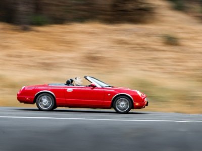 �������еķ��w����֪��܇�����ж��ٷN���w����