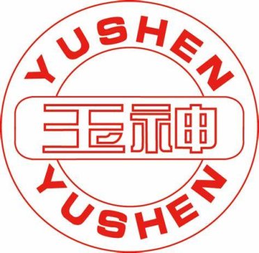 ������l���ɿƼ����޹�˾��ϯIPIE2024�Ϻ����H�߶˷��w�b���c�ƌW�x��չ