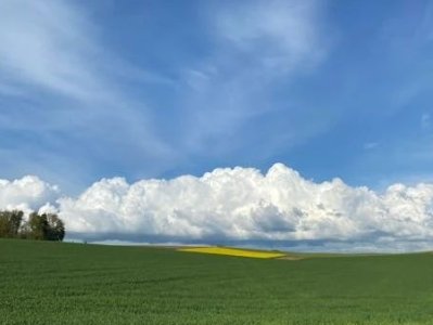 ����ȫ���a����η���ˎ��ۉm��ը��