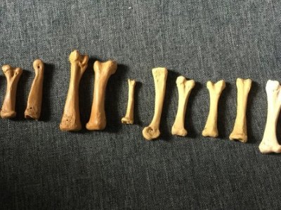 �P(gu��n)�I�r�̣��@Щ�մ��ܡ�����һ������