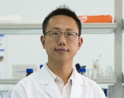 �|�ϴ�W(xu��)�������ڣ����м{�£�����������