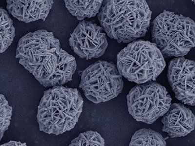 ���ҡ����a�÷۲ġ�֮�Ђ��ɷ���Ԫǰ��w