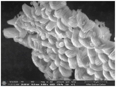 ���롢ë���F��������������̼���}��ô������ģ���ʲô�ã�