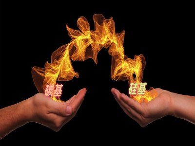 ��̼��������ĵ�����ؓ�O���Ͻ��v��ʲô��