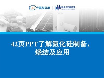 42�PPT�˽⵪�����Ƃ䡢���Y(ji��)����(y��ng)��