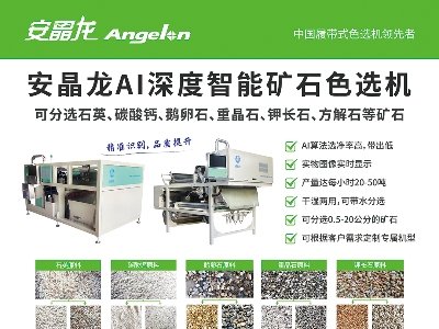 �������c����s���ݣ�2024(�ڰˌ�)ȫ��ʯӢ�����չ�[��