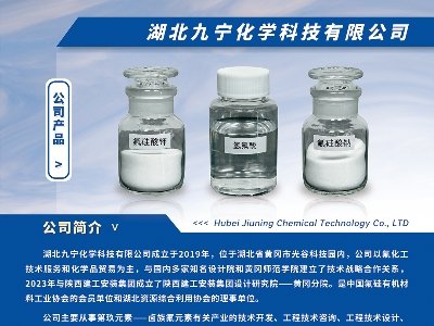 �Ō����W�c����s���ݣ�2024(�ڰˌ�)ȫ��ʯӢ�����չ�[��