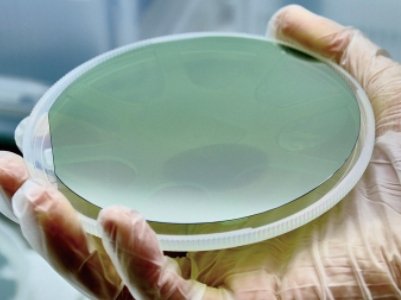 ̼���裺����Ҫ���������(w��)����