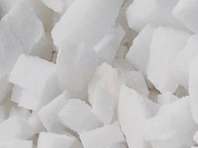 2024����w�ИI��P�c��̼���}ƪ